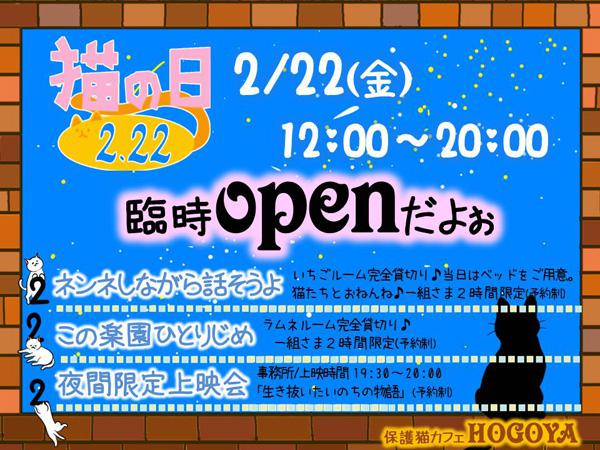 ﾆｬﾝﾆｬﾝﾆｬﾝ=^_^=猫の日保護猫カフェイベント イベント情報 / いのちのは